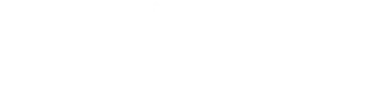 Finding North Network logo