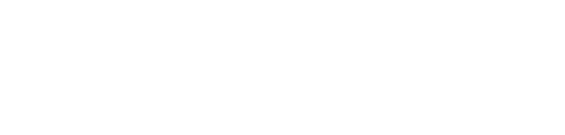 Singapore Global Network logo